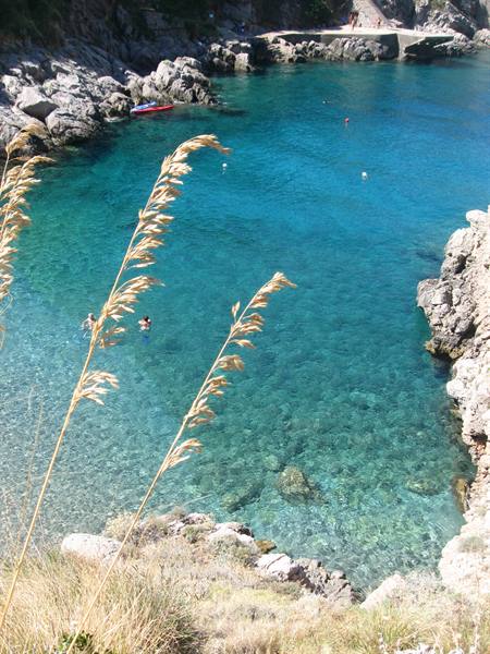 Swimmers in turquoise water among rocks, golden grasses in foreground, stone pier