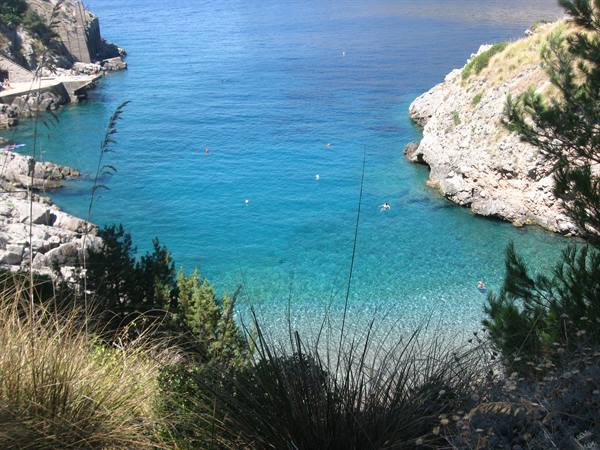 Swimmers in turquoise water between limestone rocks and pines, full sunlight