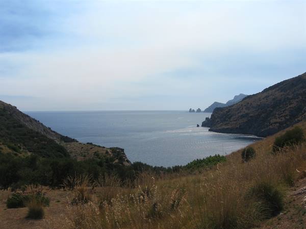Cap de Creus: grassy cliffs above calm Mediterranean sea, rocks in distance