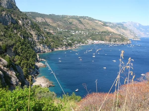 Many white boats anchored in a deep blue bay between green cliffs