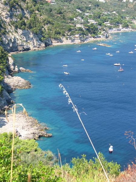 Boats anchored in a turquoise bay between green cliffs, Capri