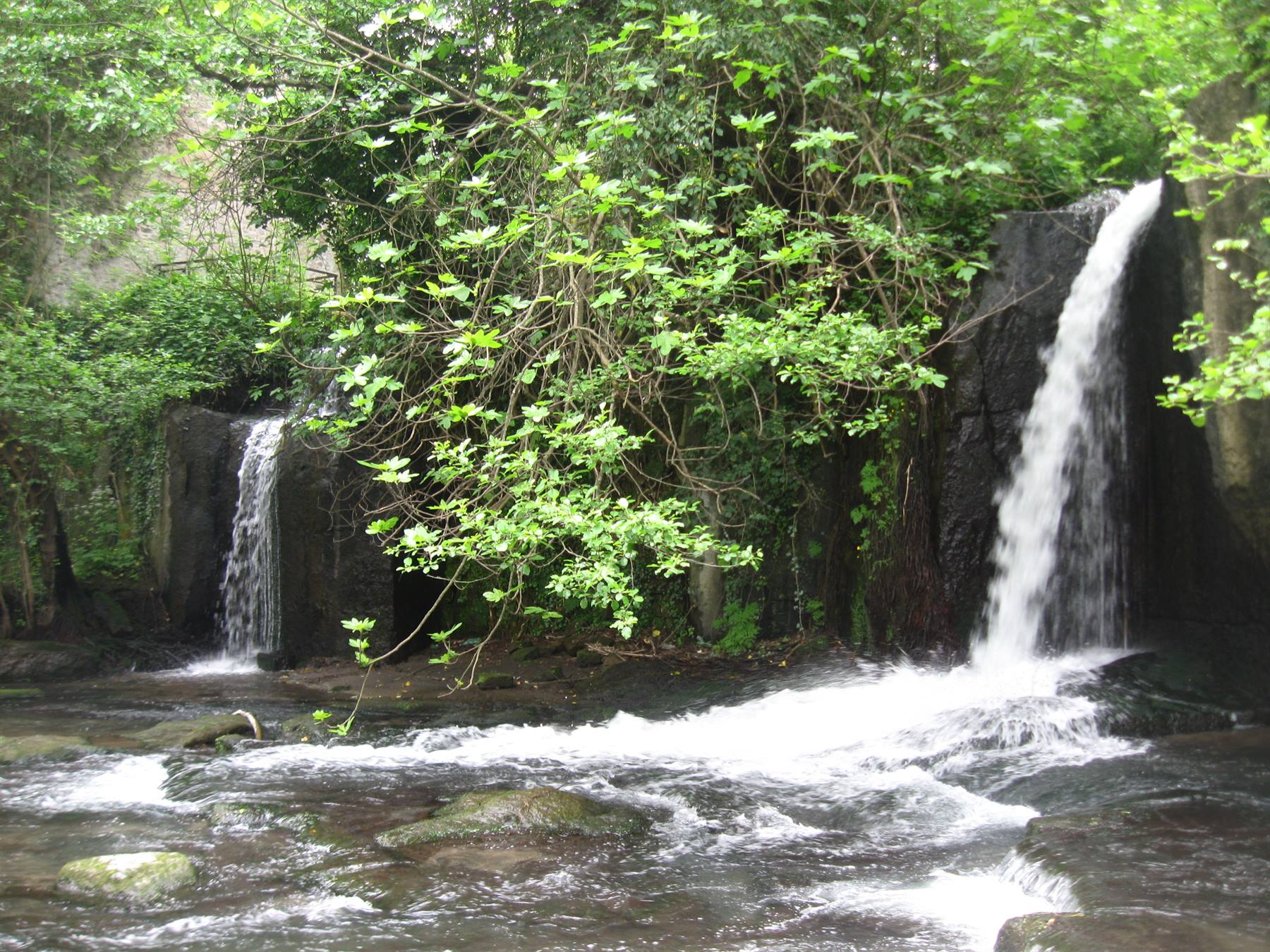 Due piccole cascate di acqua bianca scendono su rocce scure tra alberi verdi