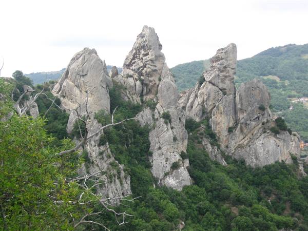 Grey rock pinnacles rising above green woods, Dolomiti Lucane