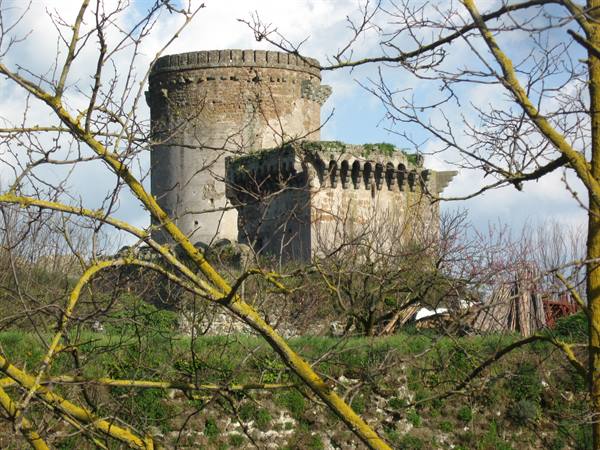 Stone medieval tower with overhanging battlements, framed by bare branches, green grass, cloudy sky