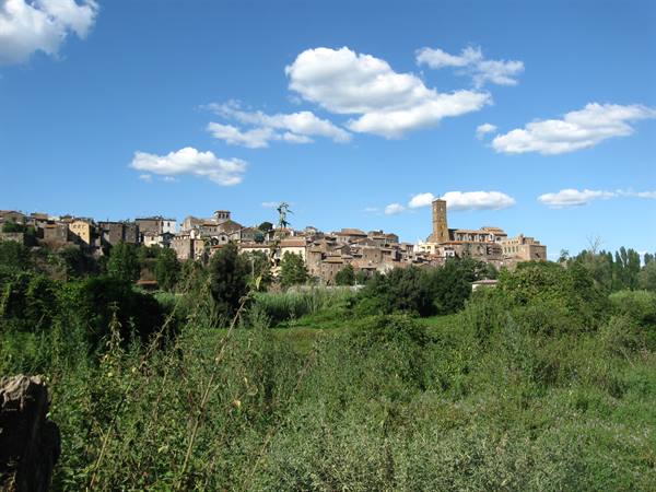 panorama
