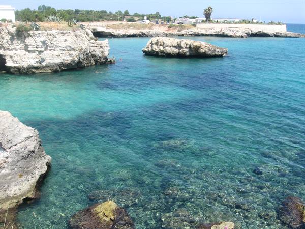 Limestone rocks and clear turquoise sea, pine trees in the background