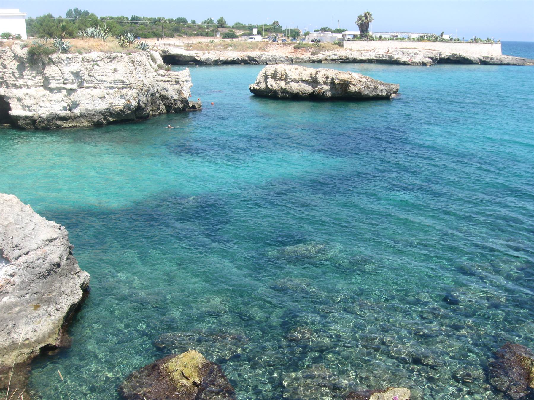 Scogliera calcarea su mare turchese limpido,-pineta sullo sfondo