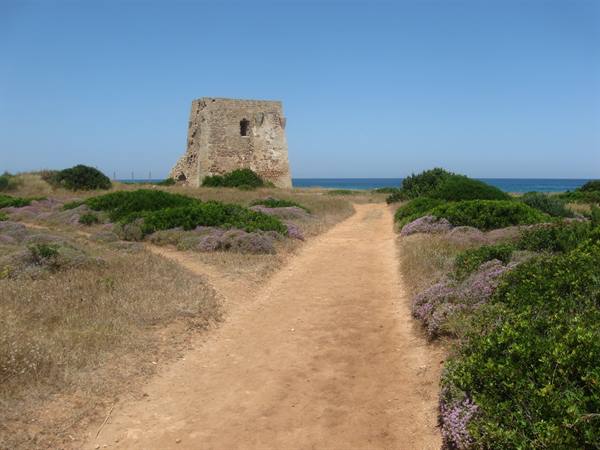 Pozzelle tower