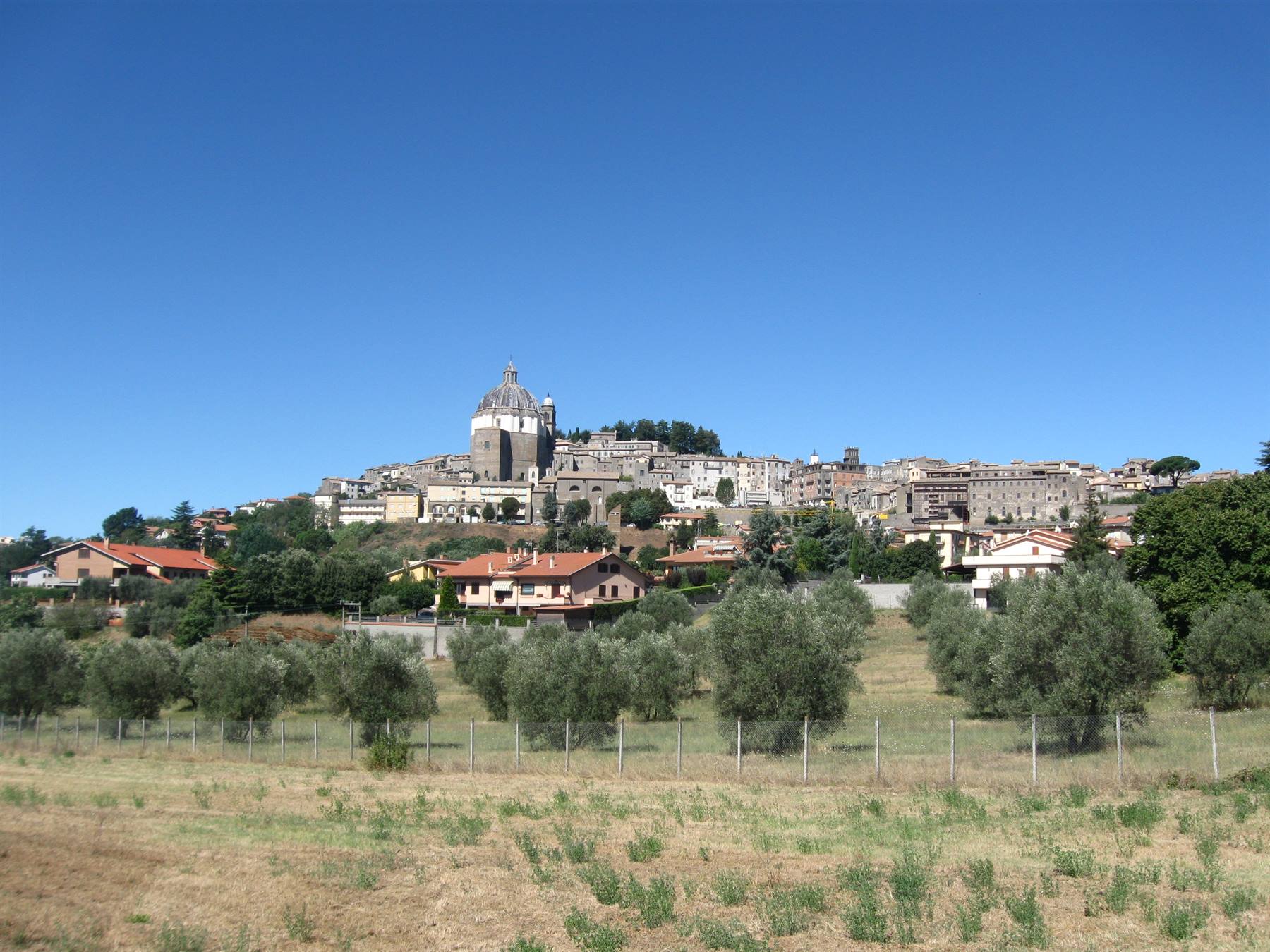 Montefiascone