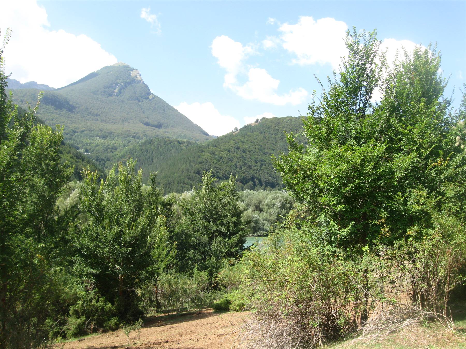 Monte boscoso sopra alberi verdi e terreno arato, cielo con nuvole