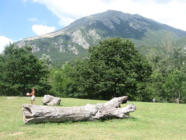 Child with ball beside a fallen tree trunk on grass, forested mountain behind