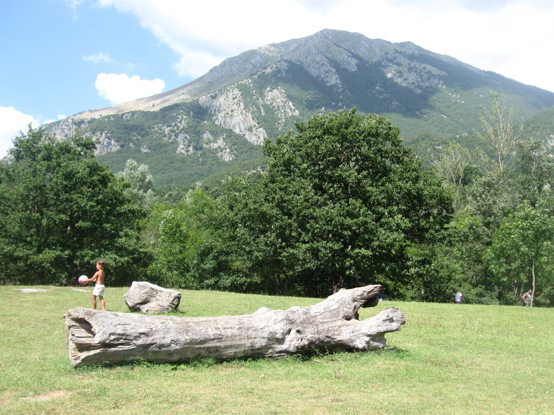 Bambino con pallone accanto a un tronco caduto sul prato, montagna boscosa sullo sfondo