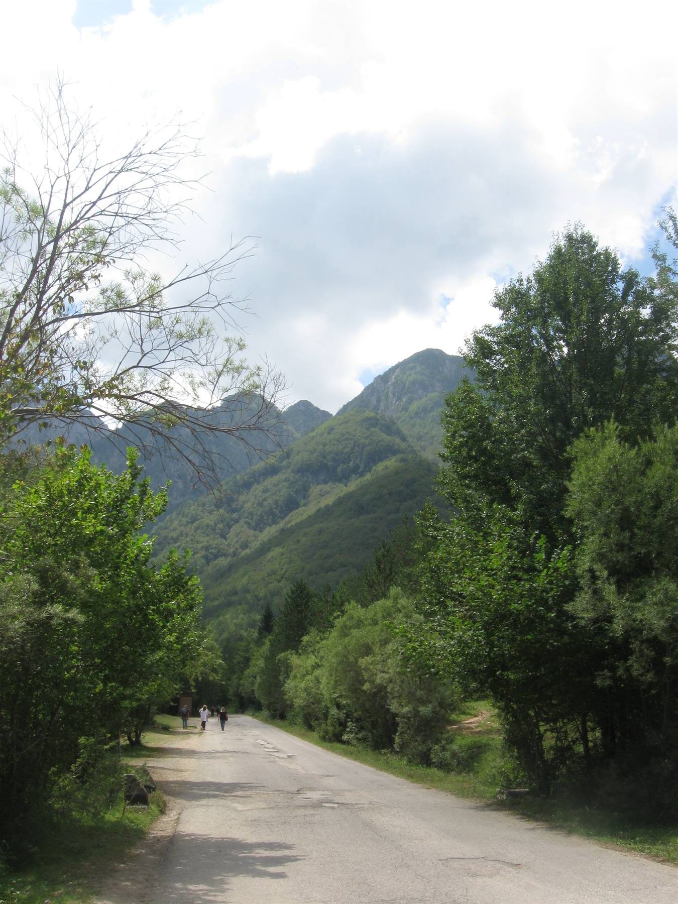 Strada sterrata tra alberi verdi con escursionisti e monti boscosi sotto nuvole