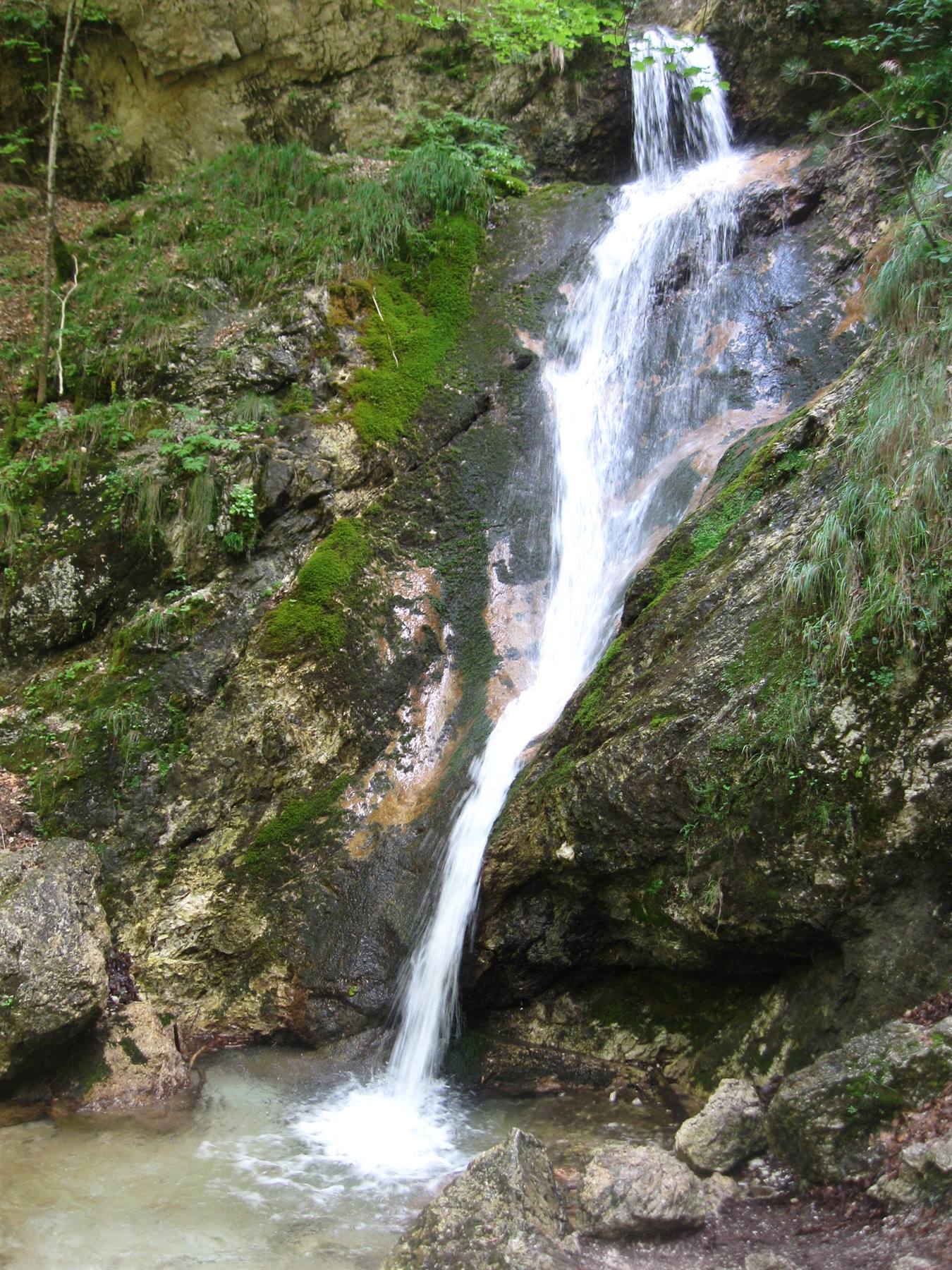 Cascata di acqua bianca su rocce muschiose in una foresta verde
