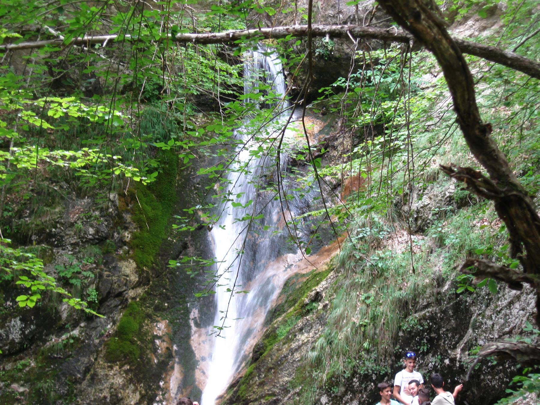 Cascata tra rocce muschiose e rami verdi, visitatori la osservano