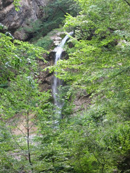 Nymphs waterfall