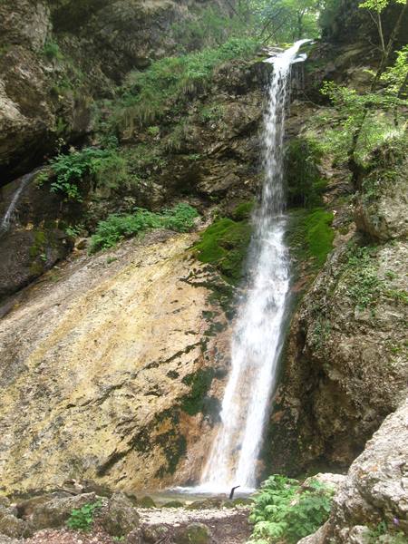 White waterfall cascading over mossy rock face, surrounded by green trees