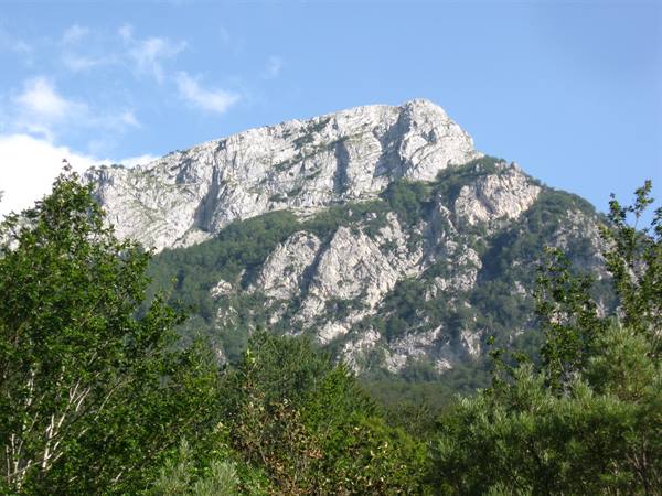 White rocky mountain above a green forest, blue sky with clouds