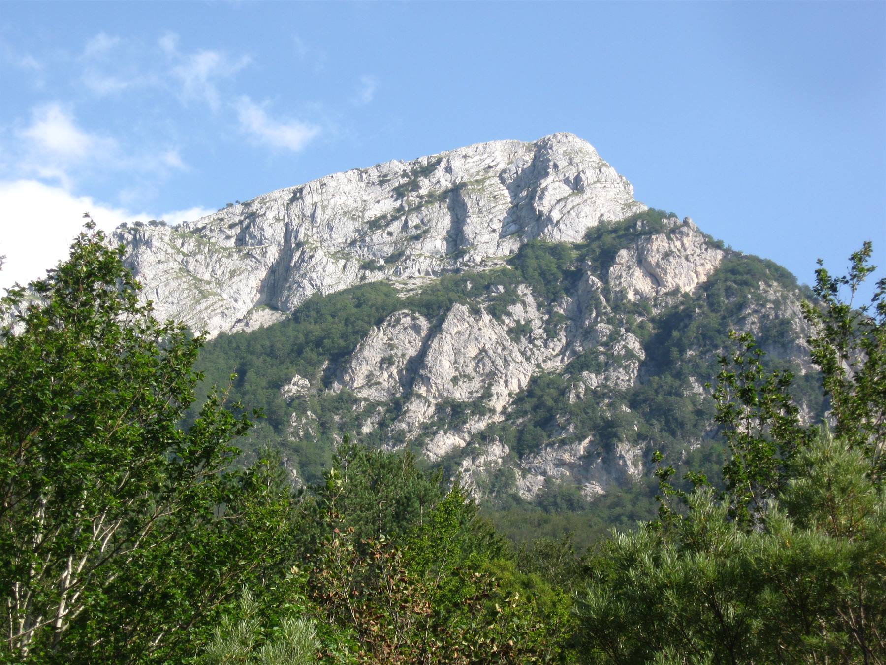 Montagna rocciosa bianca sopra una foresta verde, cielo azzurro con nuvole