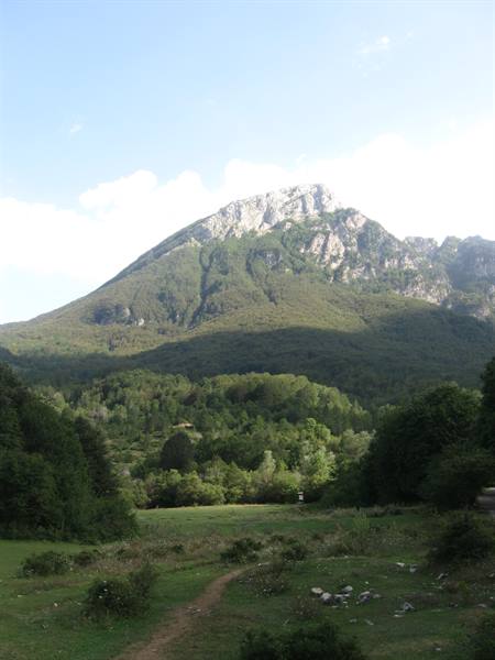 Rocky mountain covered with woods above a green meadow with dirt path