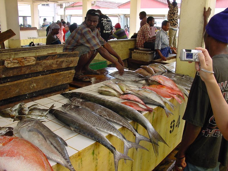 Bancarella del mercato del pesce, pescato fresco allineato, turista fotografa il venditore