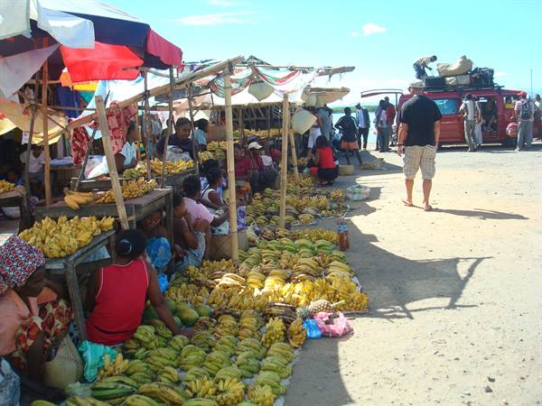 Open-air banana market on sand, vendors under parasols, tourist walking past a van