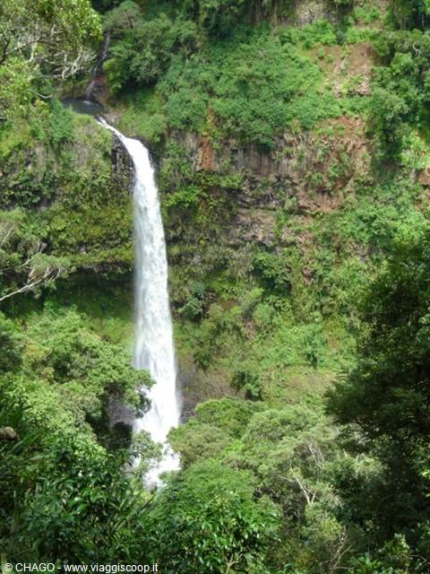 excursion to the Amber Mountains