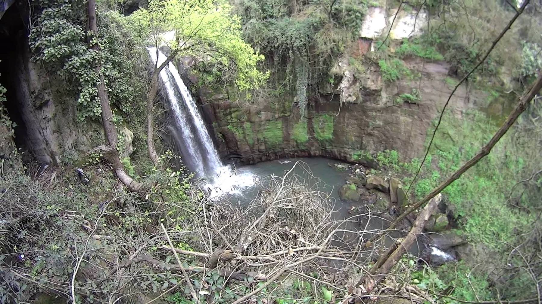 Cascata che scende su rocce muschiose in un laghetto verde tra alberi