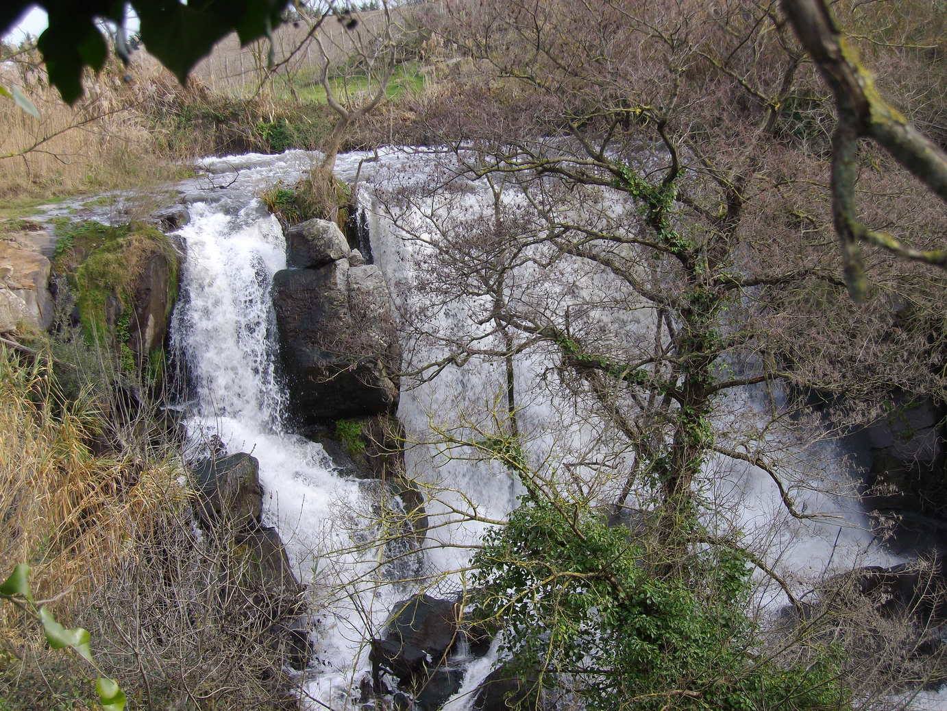 Cascata d'acqua tra rocce scure e alberi spogli, rami in primo piano