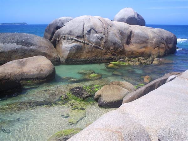 natural pool