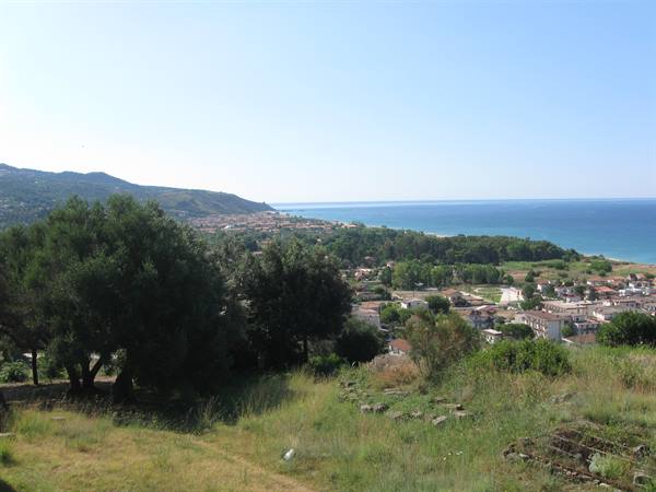 ASCEA MARINA