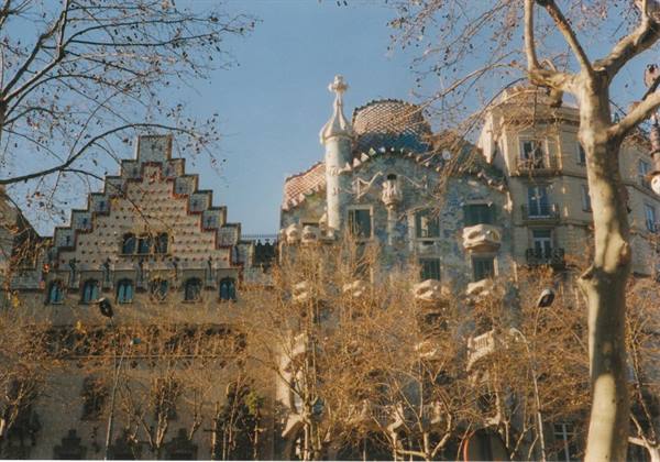 Gaudí's Casa Batlló among bare trees on Passeig de Gràcia, Barcelona