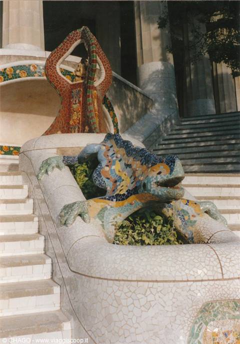 THE SALAMANDER