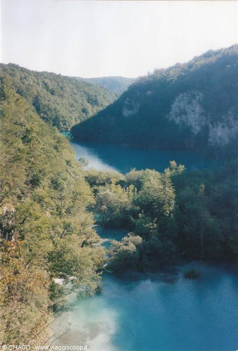 Turquoise lakes between lush green forests at Plitvice