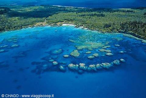Submerged coral reef in turquoise waters off New Caledonia's green coast