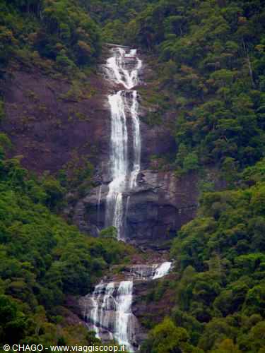 Waterfall cascading through green forest, white water on dark rock