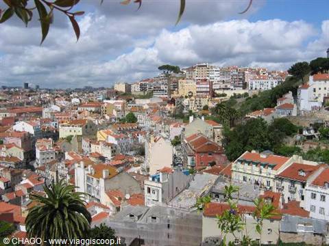 ALFAMA