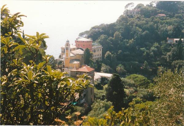 Yellow church with bell tower among Portofino greenery and the sea