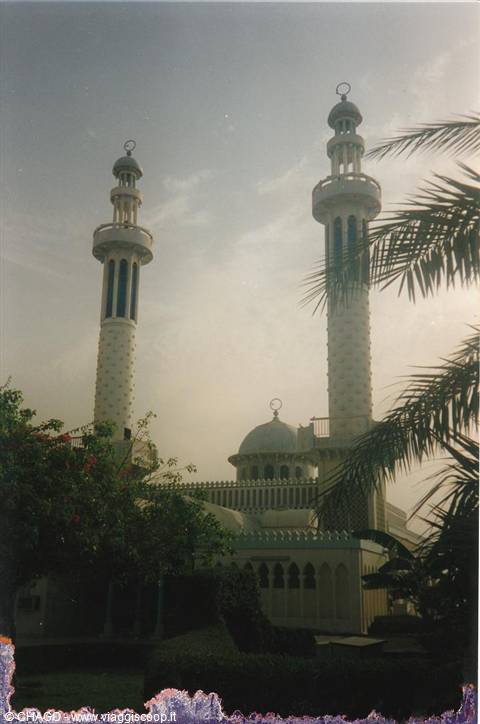White minarets and dome of Dubai mosque among palm trees
