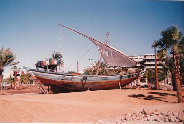 Wooden sailboat with white sail beached on sand among palm trees