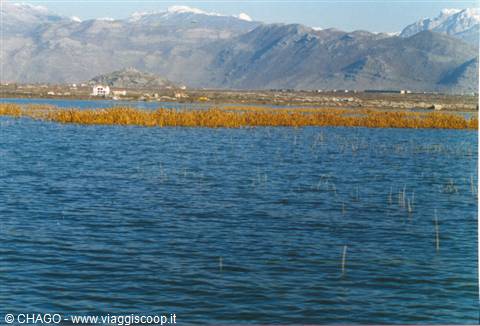 LAKE SHKODER