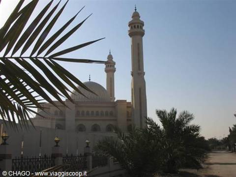 Mosque with minaret among palm trees in morning light, Salalah
