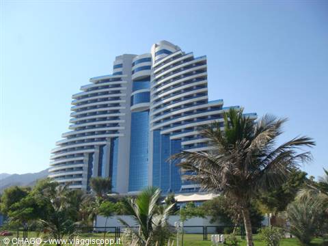 Stepped high-rise hotel with blue glass facade, palm trees in foreground