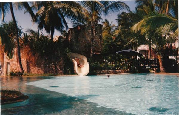 Stone waterslide among palm trees plunging into pool, swimmer in water