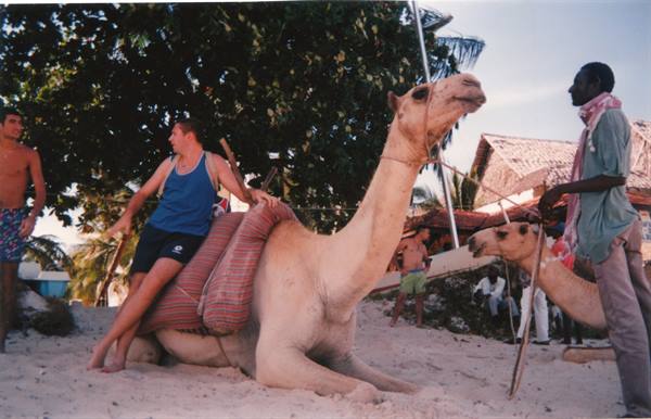 on the beach of the hotel
