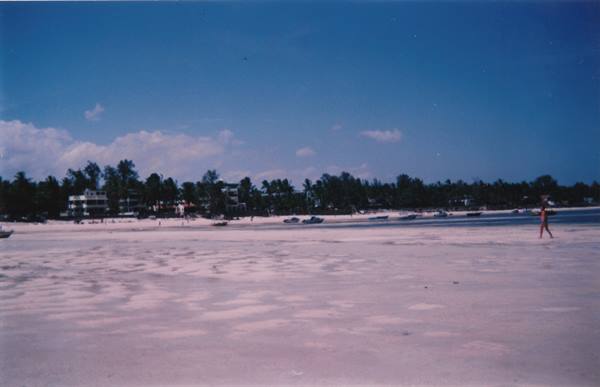 the very white beach of White Sands