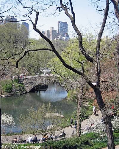 magnificent view of Central Park