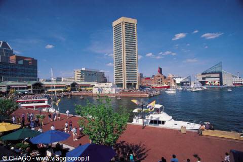 Baltimore Inner Harbor: skyscraper, docked yachts and busy promenade under umbrellas
