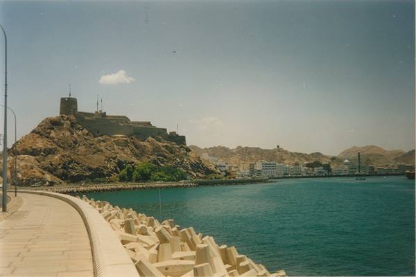 the fort