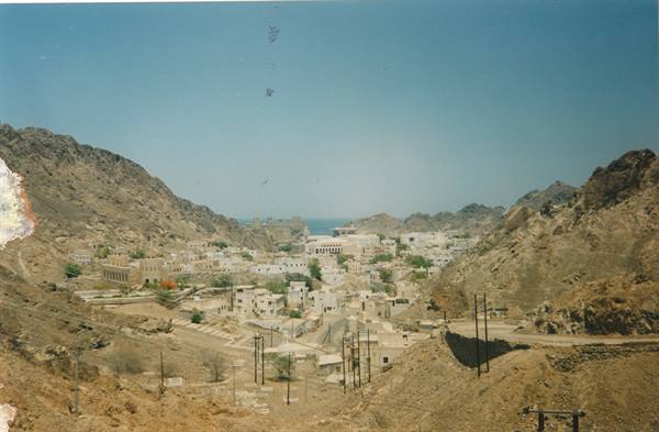 old Muscat